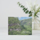 Carte Postale Vue sur la forêt nationale Daniel Boone (Debout devant)