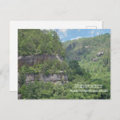 Carte Postale Vue sur la forêt nationale Daniel Boone (Devant / Derrière)