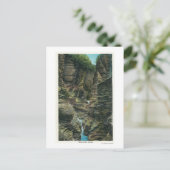 Carte Postale Vue sur la gorge de Minnehaha (Debout devant)