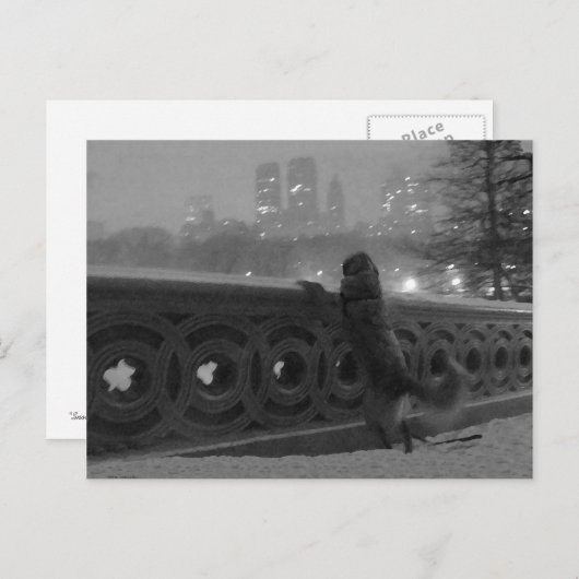 Carte Postale Vue sur la neige depuis Bow Bridge (Devant / Derrière)