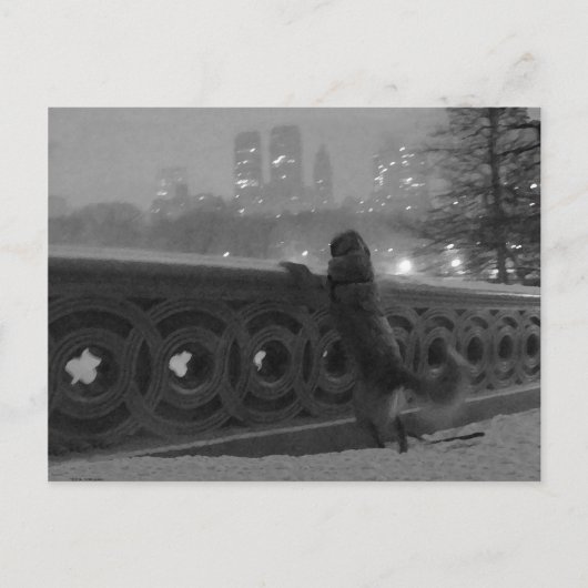 Carte Postale Vue sur la neige depuis Bow Bridge (Devant)