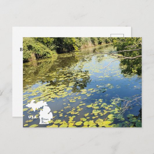 Carte Postale Vue sur la rivière du Metropark Lake Erie avec log (Devant / Derrière)