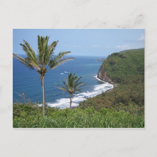 Carte postale Vue sur la vallée de Pololu (Devant)