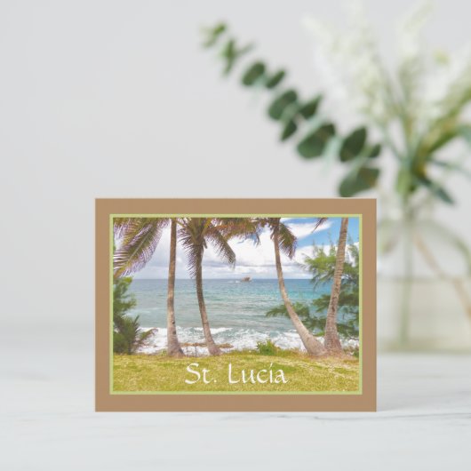 CARTE POSTALE VUE SUR L'ATLANTIQUE DEPUIS L'ÎLE AUX PIGEONS, STE (Debout devant)