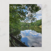 Carte Postale Vue sur le lac (Devant)