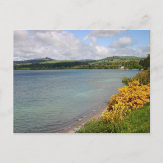 Carte Postale Vue sur le lac