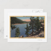 Carte Postale Vue sur le lac à travers les pins (Devant / Derrière)