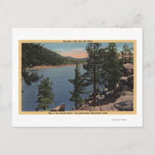Carte Postale Vue sur le lac à travers les pins