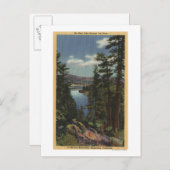 Carte Postale Vue sur le lac à travers les pins # 2 (Devant / Derrière)