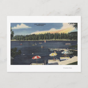 Carte Postale Vue sur le lac, la côte bordée d'arbres