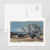 Carte Postale Vue sur le mont San Gorgonio, Fumeurs (Devant / Derrière)