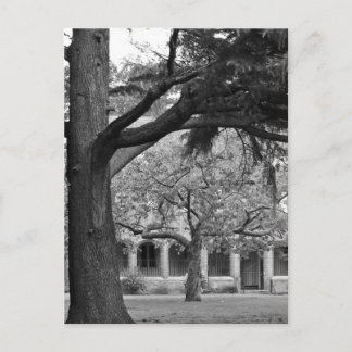 Carte Postale Vue sur le parc