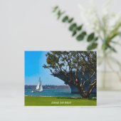 Carte Postale Vue sur le port - Voile San Diego (Debout devant)