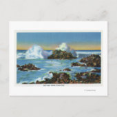 Carte Postale Vue sur le Surf le long du rocher (Devant)