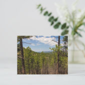 Carte Postale Vue sur le terrain, Parc d'état de Custer, SD (Debout devant)