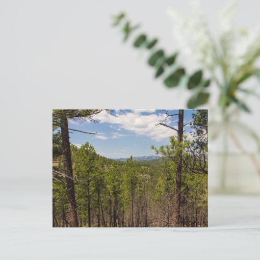 Carte Postale Vue sur le terrain, Parc d'état de Custer, SD (Debout devant)