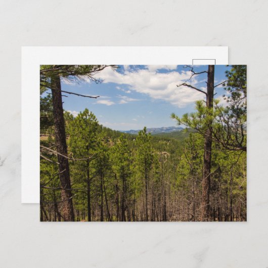 Carte Postale Vue sur le terrain, Parc d'état de Custer, SD (Devant / Derrière)