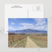 Carte Postale Vue sur le vignoble d'Osoyoos (Devant / Derrière)