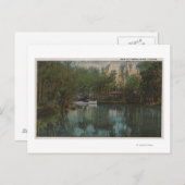 Carte Postale Vue sur l'eau de Tomoka River & Marsh, Floride (Devant / Derrière)