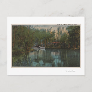 Carte Postale Vue sur l'eau de Tomoka River & Marsh, Floride