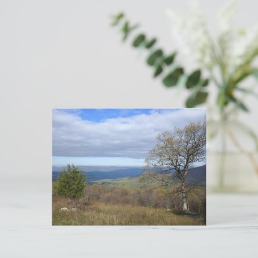 Carte Postale Vue sur les écarts de Thornton au printemps (Debout devant)