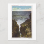 Carte Postale Vue sur les falaises de Bald Head, la gorge (Devant)