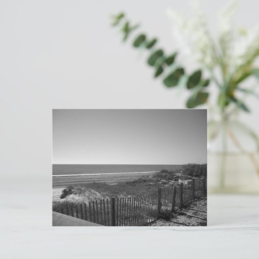 Carte Postale Vue sur l'océan (Debout devant)