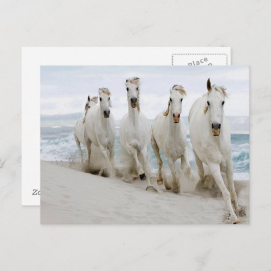 Carte Postale Vue sur l'océan (Devant / Derrière)