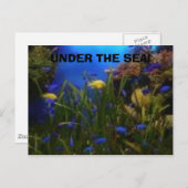 Carte Postale vue sur l'océan, SOUS LA MER ! (Devant / Derrière)
