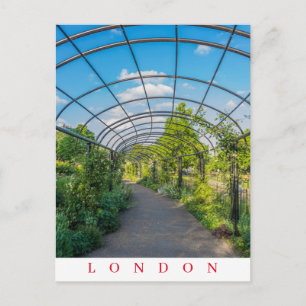 carte postale vue sur un chemin de Hyde Park à Lon