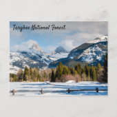 Carte Postale Vue Teton de la forêt nationale de Targhee (Devant)