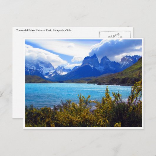 Carte Postale vue torres del paine (Devant / Derrière)