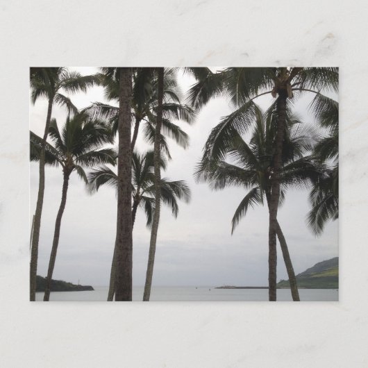 Carte Postale Vue tropicale à Kauai (Devant)