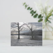 Carte Postale Vues Crystal (Debout devant)