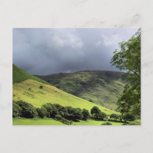 CARTE POSTALE VUES DES ALLES (Devant)