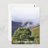 CARTE POSTALE VUES DES ALLES (Devant / Derrière)