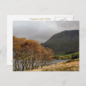 CARTE POSTALE VUES DES ALLES (Devant / Derrière)