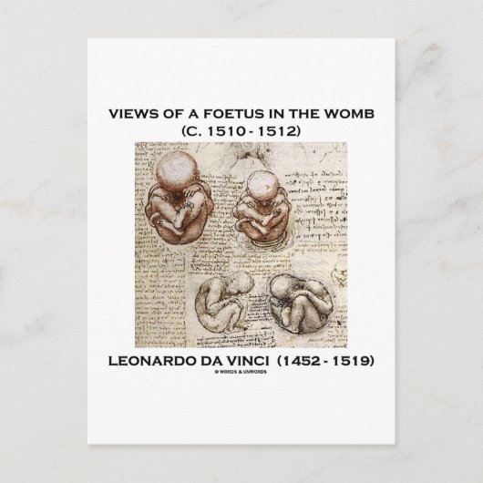 Carte Postale Vues D'Un Foetus Dans L'utérus (Léonard De Vinci) (Devant)