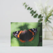 Carte Postale Vulcain sur Feuilles Vertes (Debout devant)