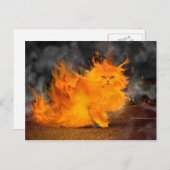Carte Postale vuur kat (Devant / Derrière)