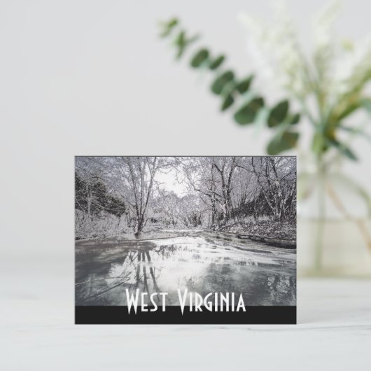 CARTE POSTALE VV (Debout devant)