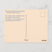 Carte Postale Vykort — Connect, Airplane (Dos)