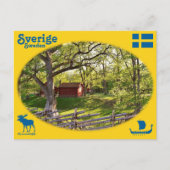 Carte Postale Vykort — Sverige (Devant)