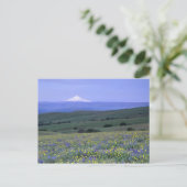 Carte Postale WA, comté de Klickitat, Dalles Mountain Ranch, (Debout devant)