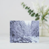 Carte Postale WA, Forêt nationale du Mont Baker-Snoqualmie, (Debout devant)