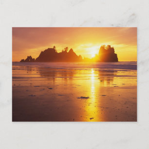Carte Postale WA, Olympic NP, plage de Shi Shi au coucher du sol