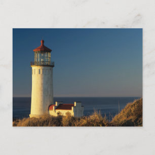 Carte Postale WA, parc d'État de Cape Disappointment, North Head