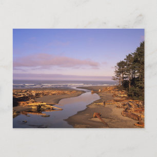 Carte Postale WA, parc national Olympique, Kalaloch Beach et Kal