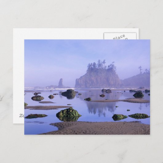 Carte Postale WA, Parc national olympique, Second Beach, (Devant / Derrière)