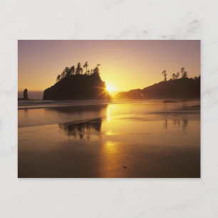 Carte Postale WA, PN Olympic, deuxième plage au coucher du solei